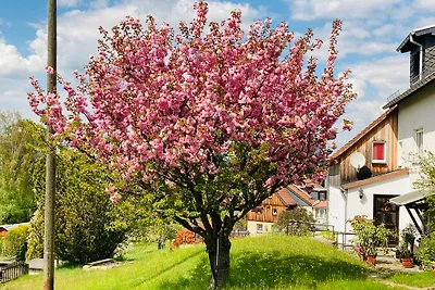 Ferienhaus Elbsandstein