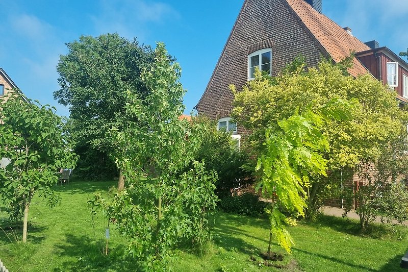 Haus mit großem Garten, schöner Bepflanzung, vielen grünen Sträuchern und Naschobst.