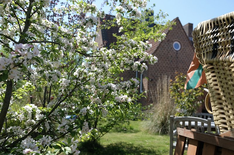 Ländlicher Garten mit blühenden Sträuchern und Bäumen.