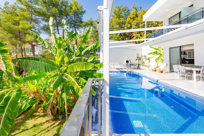 Luxuriöses Anwesen mit Pool, exotischer Vegetation und Sonnenliegen.