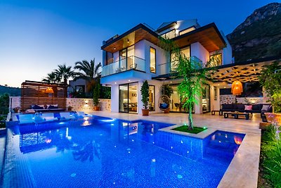 Luxury villa with sauna and 2 pools