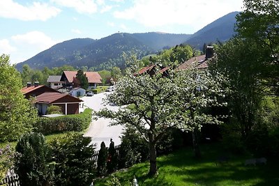 Haus-am-Kurpark  FeWo "Alpenblick"