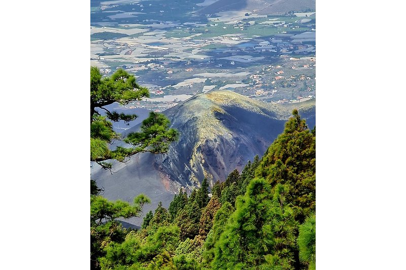 Der jüngste Vulkan der Kanaren - Tajogaite