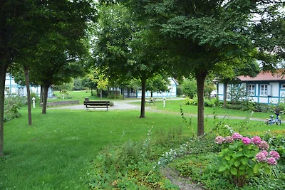 Haus Meerforelle