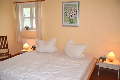 Haus Meerforelle