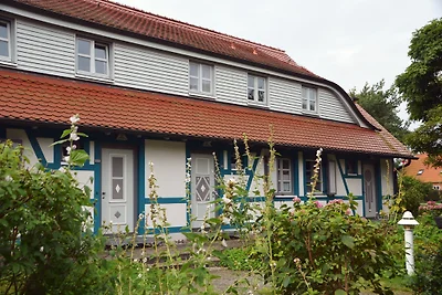 Haus Meerforelle