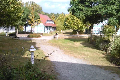 Haus Meerforelle