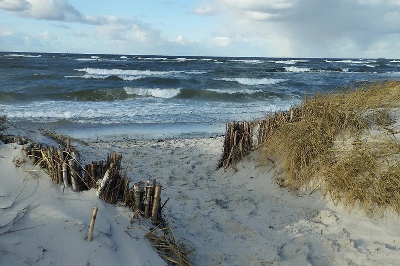 Ostseestrand Kieler Bucht