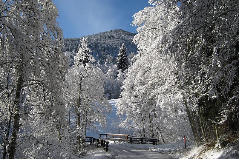 Winterwandelen op de Penningberg