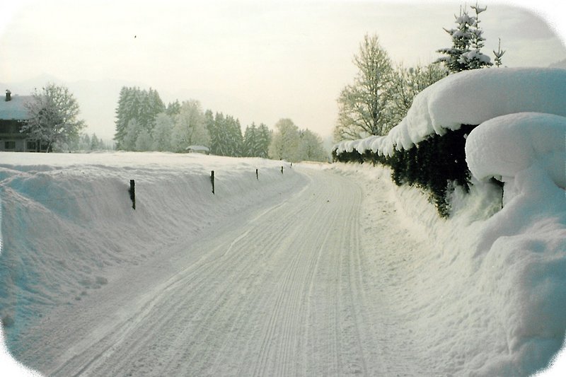 De Lindrainweg in de winter