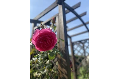 Kuća za odmor Luise blizu Baltičkog mora