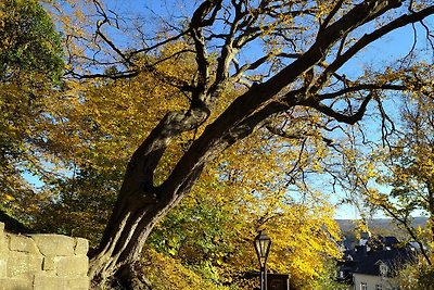 Panoramahaus Sauerland