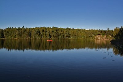 Birkenhaus am See Südschweden