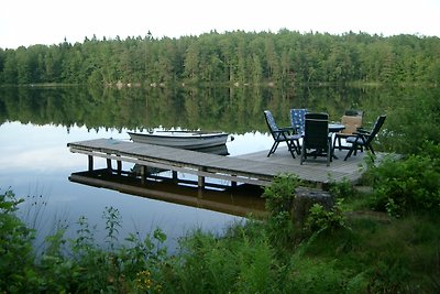 Birkenhaus am See Südschweden