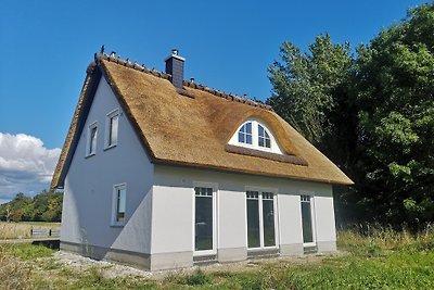 Casa con tejado de paja, Haus Hannes