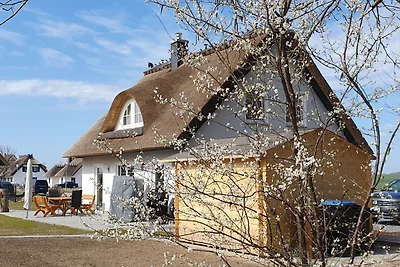 Casa con tetto di paglia, Haus Hannes