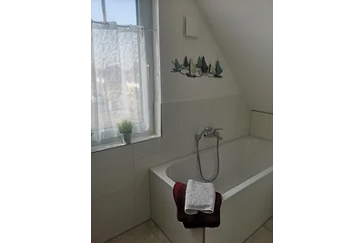Casa con tetto di paglia, Haus Hannes