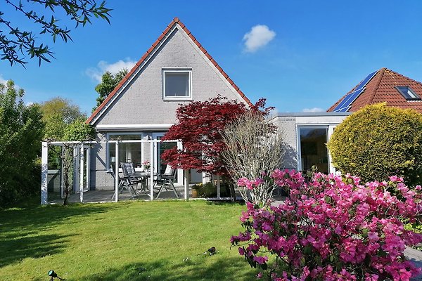 Ferienhäuser & Ferienwohnungen Am Ijsselmeer Mieten