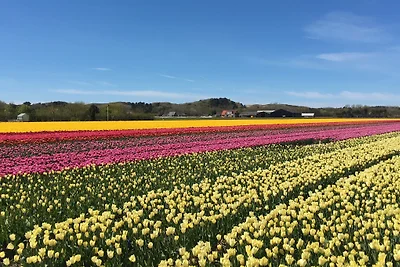 Casa di vacanza Eijlander Egmond