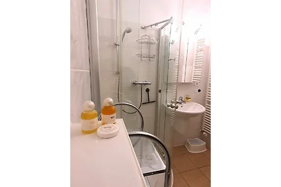 Winterberg Appartement 21123