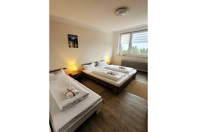 Winterberg Appartement 21123