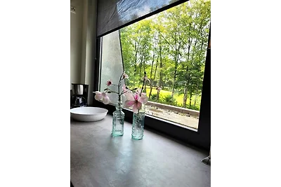 Winterberg Appartement 21097