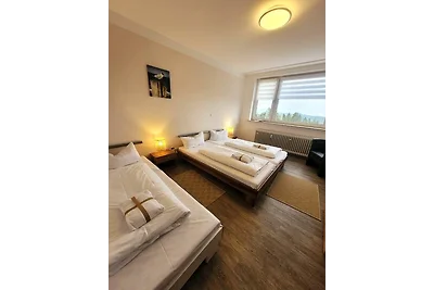 Winterberg Appartement 21123