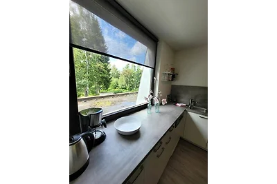 Winterberg Appartement 21097