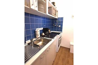Winterberg Appartement 21123
