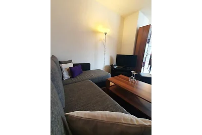 Winterberg Appartement 21032