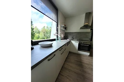 Winterberg Appartement 21097