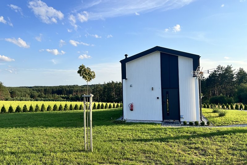 Grünes Feld mit Bäumen und blauem Himmel. Natürliche Landschaft.