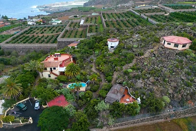 Finca Tabaiba - Bodeguita