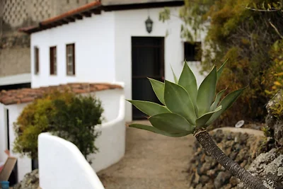 Finca Tabaiba - Bodeguita