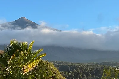 Finca Tabaiba - Parasol