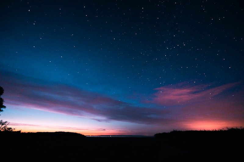 Ein ruhiger Abendhimmel mit leuchtenden Sternen und einem malerischen Baum.