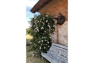 All'uccello migratore