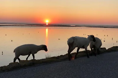 Ferienhuus NordseeLiebe