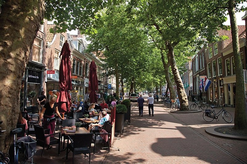 Besuchen Sie die charmanten friesischen Städte, shoppen Sie und genießen Sie einen Drink auf einer der Terrassen.