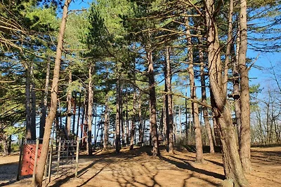 Casa vacanze Vacanza di relax Cuxhaven