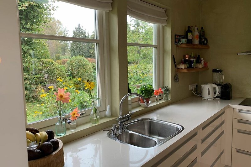 Küche mit Fenster, Spüle, Wasserhahn und Schränken.