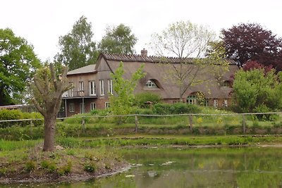 Galerij onder het riet