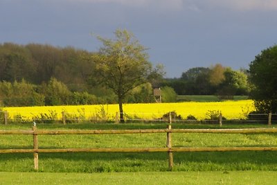 Galerij onder het riet