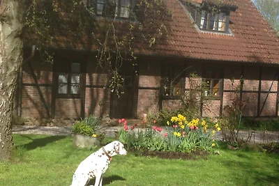 Ferienhaus Rosen