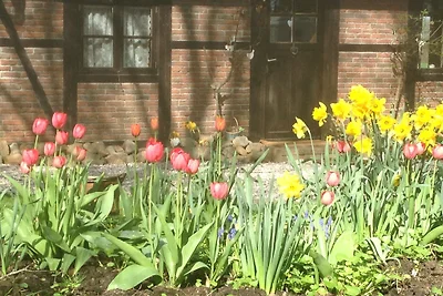 Ferienhaus Rosen