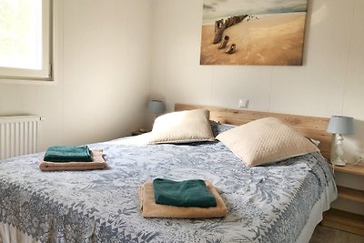 Chalet 538 im Park De Wielen