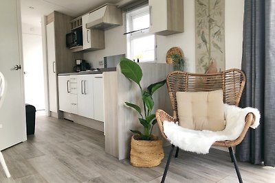 Chalet 557 im Park De Wielen