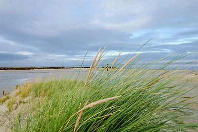 Fewo Langeoog