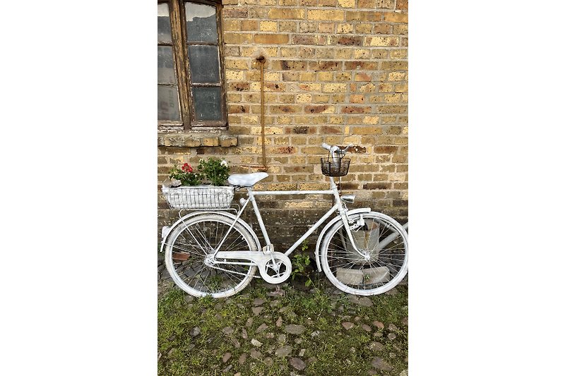 Ein altes Fahrrad neu in Szene gesetzt