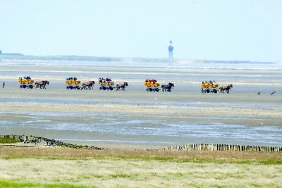 Haus Dünenweg 37 DU03